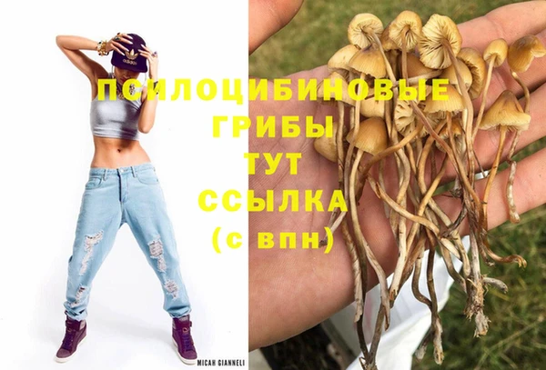 гашик Баксан