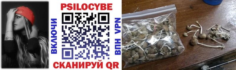 Псилоцибиновые грибы MAGIC MUSHROOMS  Мыски 